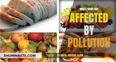 Pollution's Impact: Foods Affected by Our Dirty Environment