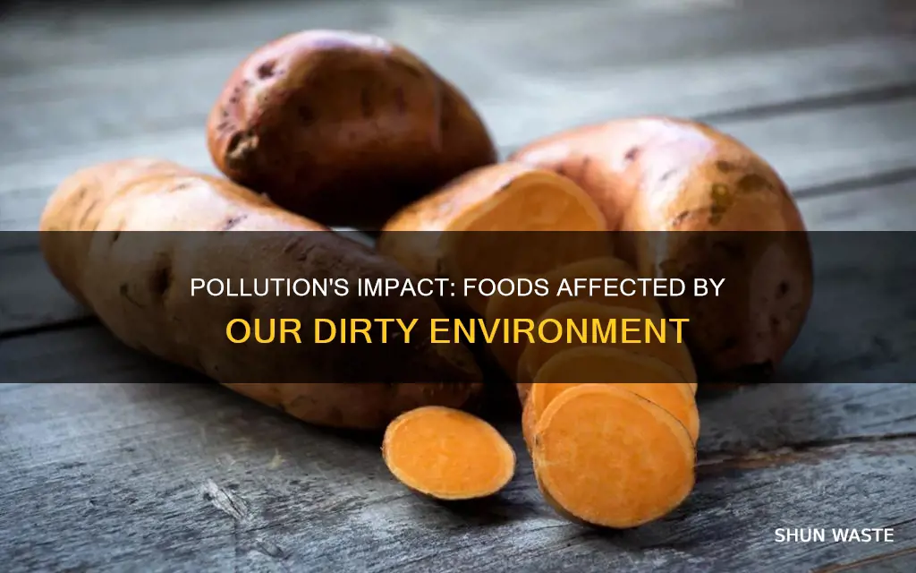 what foods are affected by pollution