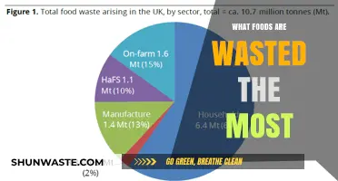 The Top Foods We Waste: A Guide to Reducing Food Waste