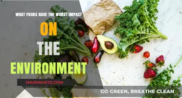 Eco-Unfriendly Eats: Foods with the Worst Environmental Footprint