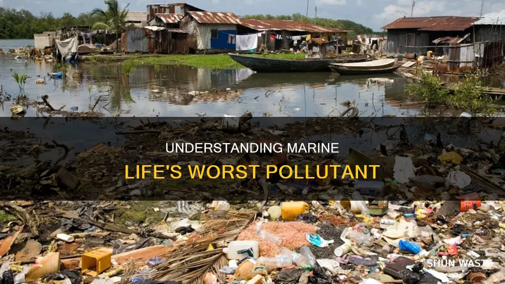 what form of pollution affects marine life the most