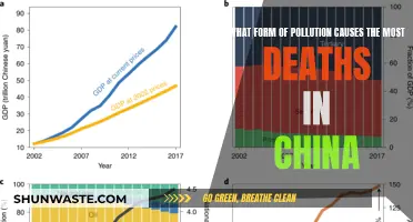 Air Pollution's Lethal Grip: China's Hidden Health Crisis