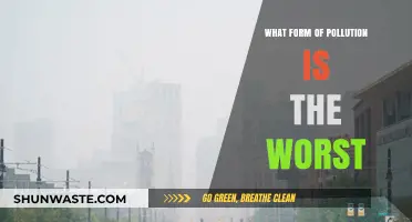 The Most Dangerous Pollution: A Threat to Our Planet