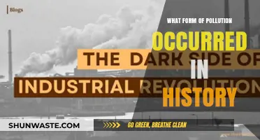 Historical Pollution: A Journey Through Time's Toxins