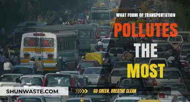 Transportation's Worst Polluters: Who's the Culprit?