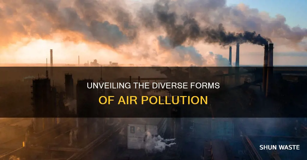 what forms can air pollution take