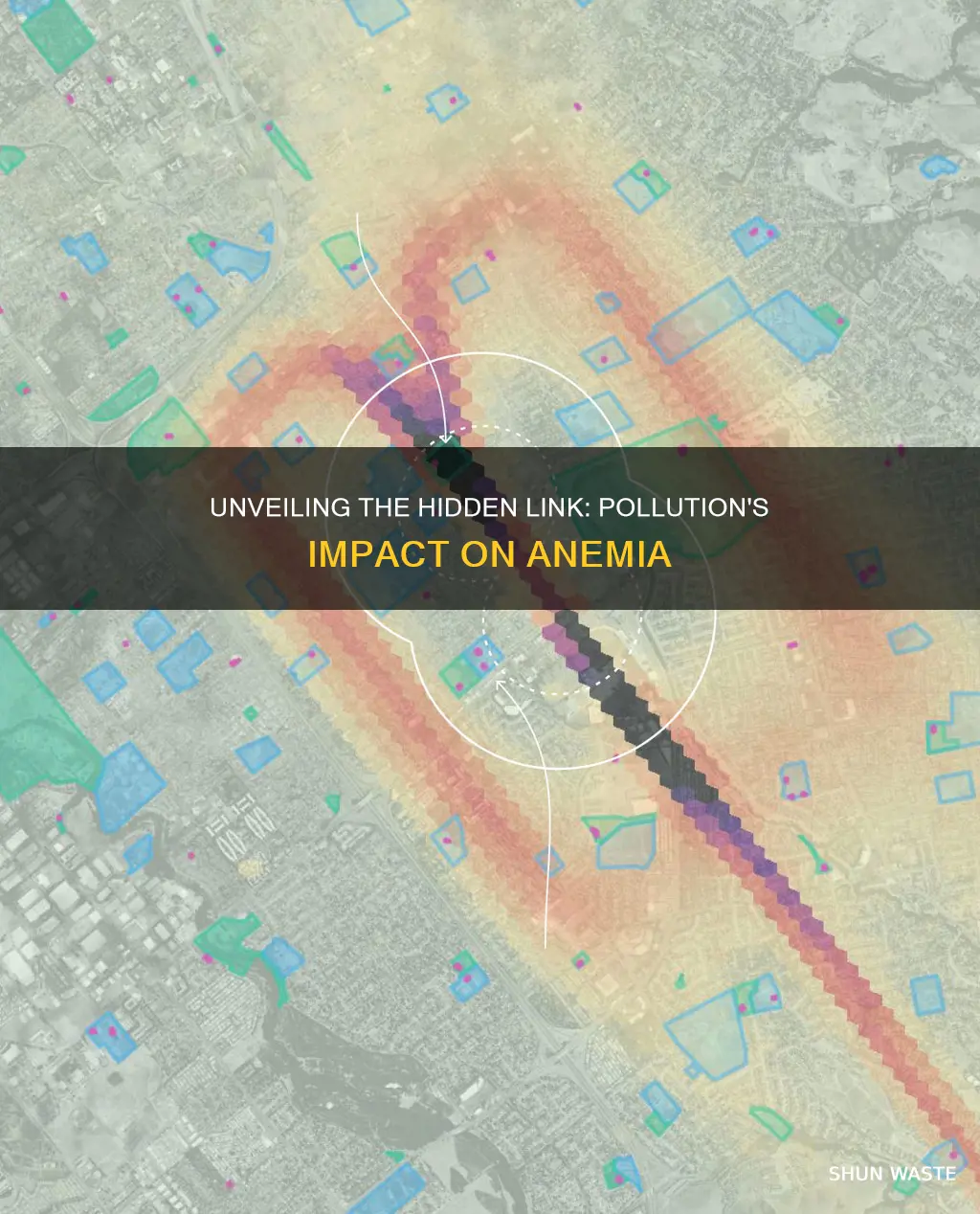 what forms of pollution can cause anemia