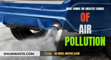 Air Pollution: The Main Culprit Revealed