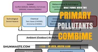 How Primary Pollutants Create Secondary Hazards