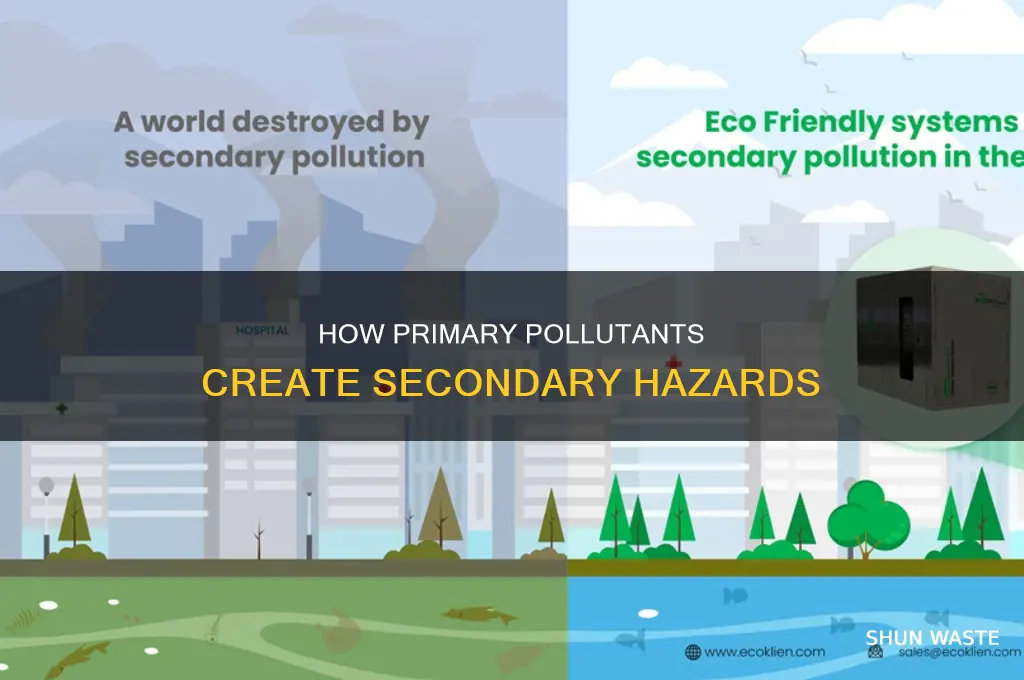 what forms when two primary pollutants combime
