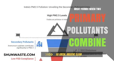 How Primary Pollutants Create Secondary Hazards