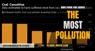 Unveiling the Pollutant: Which Fossil Fuel Causes the Most Damage?