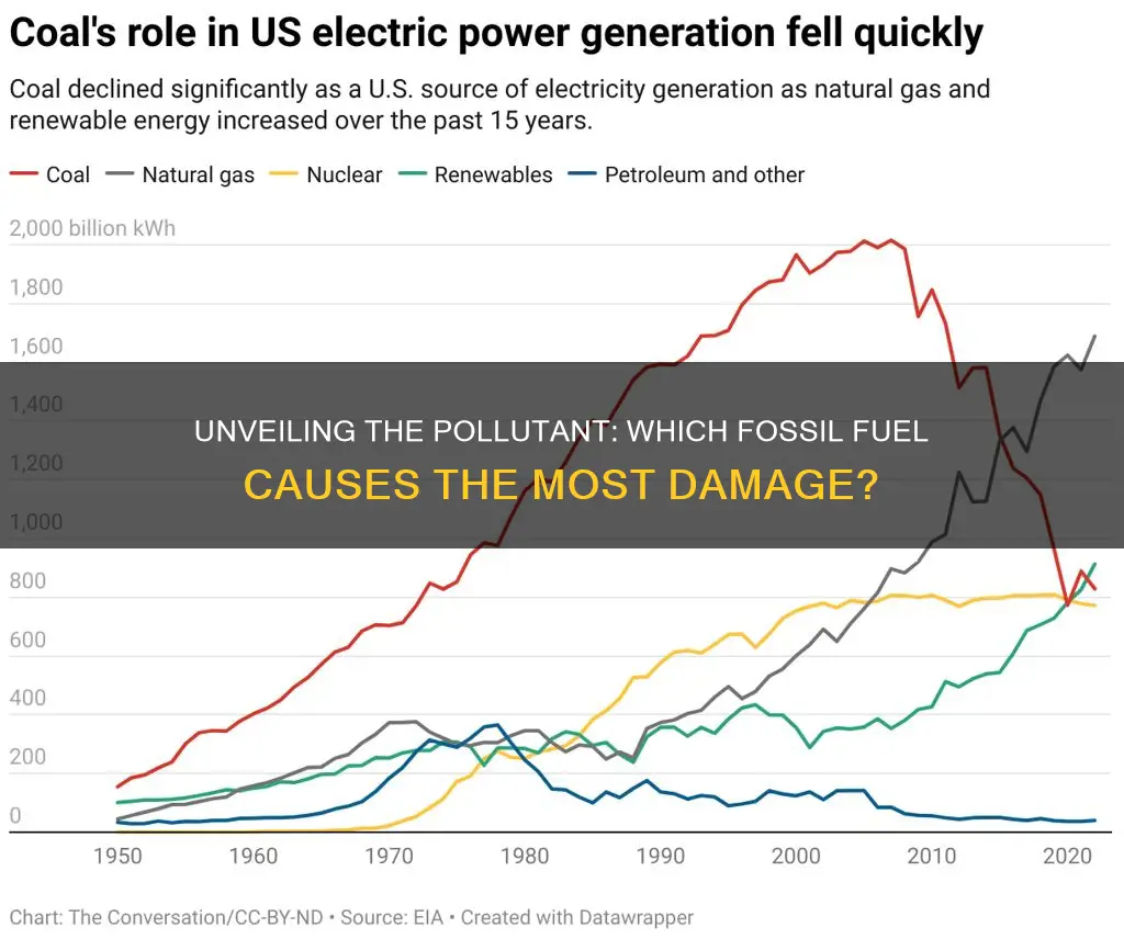 what fossil fuel causes the most pollution