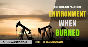 Fossil Fuel Combustion: Polluting Our Planet