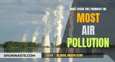 The Dirtiest Fossil Fuel: Air Pollution's Main Culprit