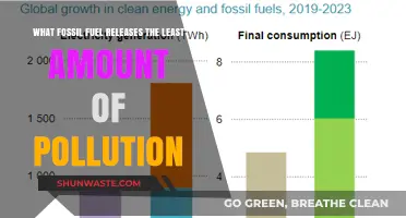 Fossil Fuels: Which Pollutes the Least?