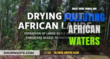 African Waters: Polluted by Industry, Agriculture, Sewage, and Plastics
