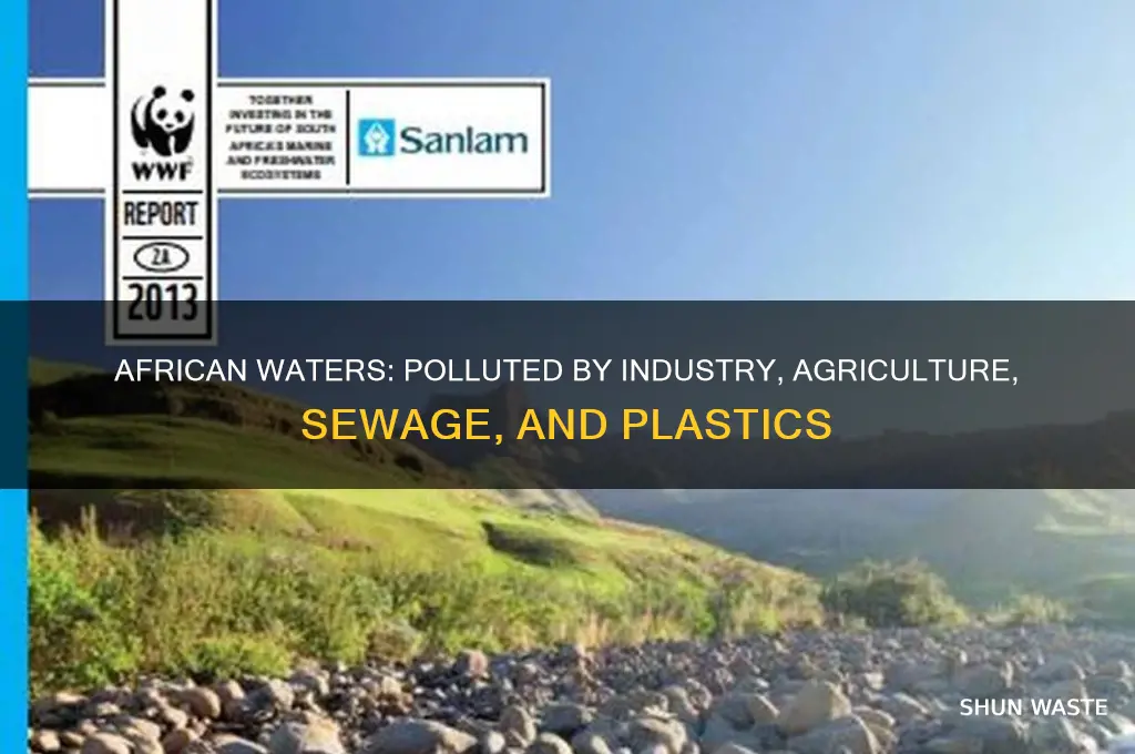 what four things are polluting african waters