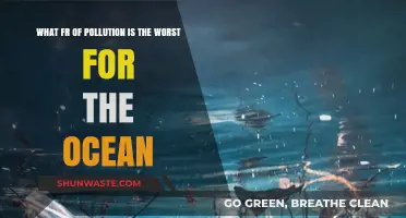 Ocean's Worst Pollutants: Understanding the Impact of Human Activity