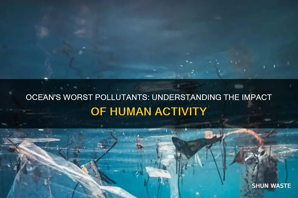 what fr of pollution is the worst for the ocean