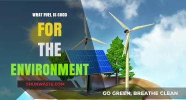 Eco-Friendly Fuel Choices: Sustainable Options for a Greener Future