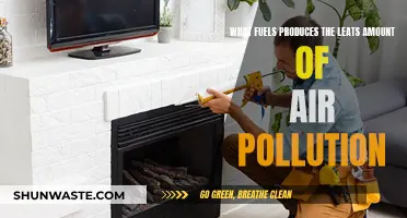 Cleanest Energy Sources: Reducing Air Pollution