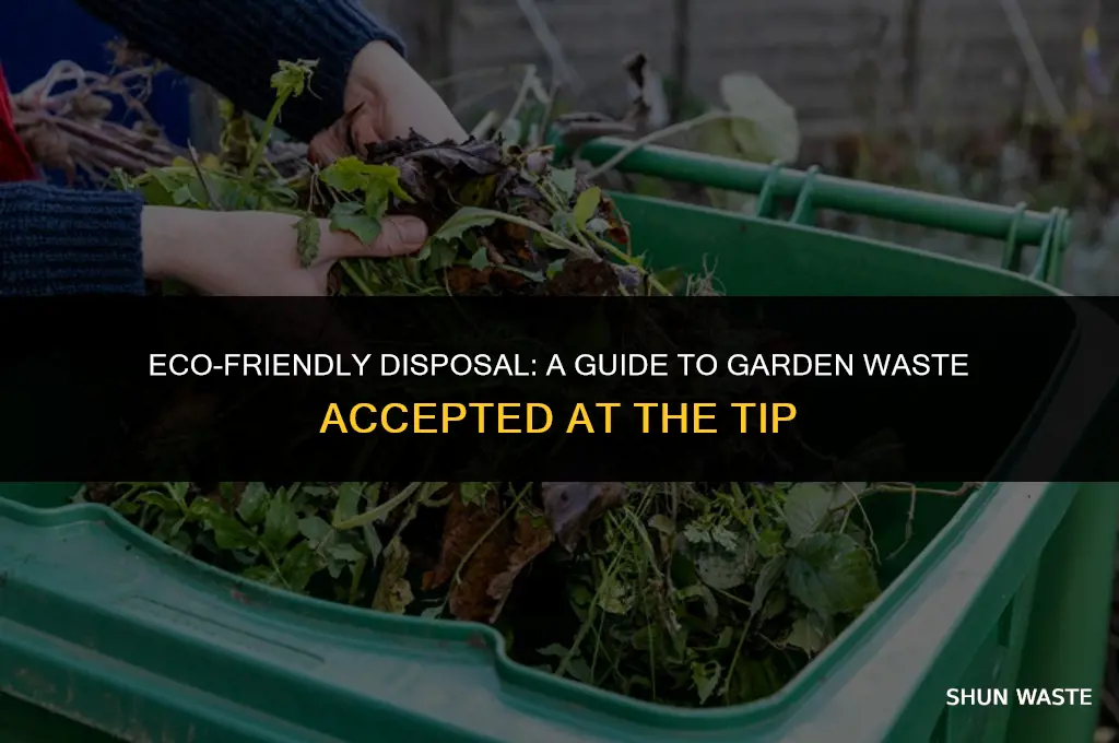 what garden waste can you take to the tip
