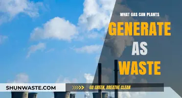 Greenhouse Gas Emissions: The Hidden Waste of Plant Metabolism