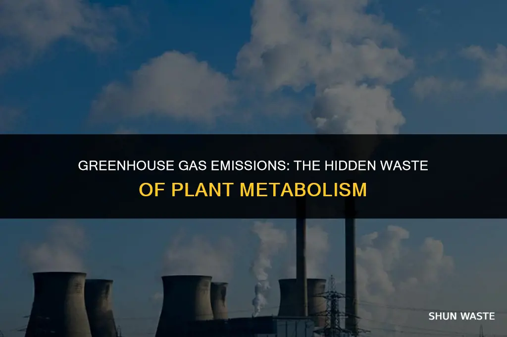 what gas can plants generate as waste
