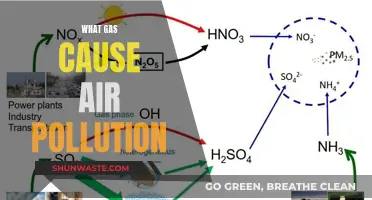 Unveiling the Hidden Culprits: Understanding the Gases Behind Air Pollution