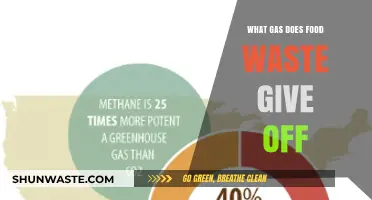 Unveiling the Hidden Emissions: Food Waste's Surprising Gas Output