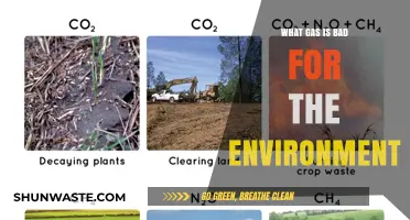 Harmful Greenhouse Gases: Understanding the Environmental Impact of Emissions