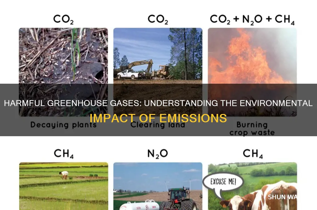 what gas is bad for the environment