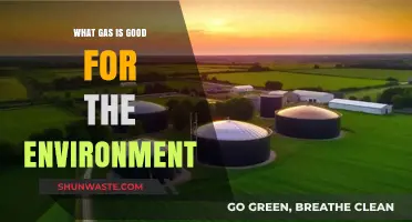 Eco-Friendly Gases: Unveiling the Greenest Options for a Sustainable Future
