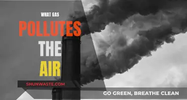 Air Pollutants: Gases That Poison Our Atmosphere