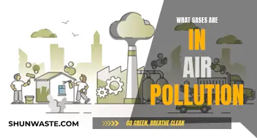 Air Pollution: Understanding Harmful Gases in the Air