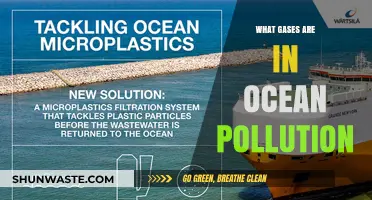 Ocean Pollution: Gases and Their Impact