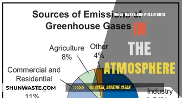 Atmospheric Pollutants: Gases and Their Harmful Effects