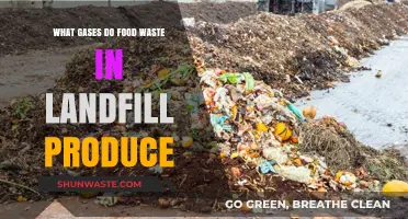 Unveiling the Hidden Emissions: Landfill Food Waste and Its Gaseous Byproducts