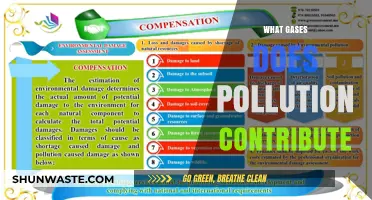 Harmful Pollution: Gases and Their Sources
