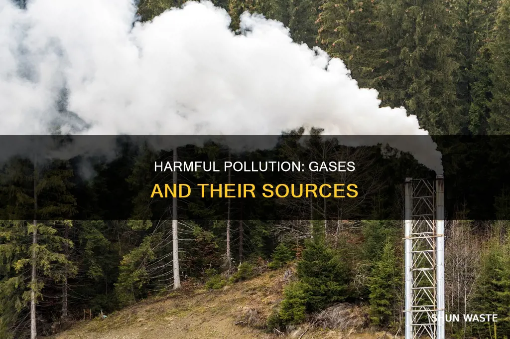 what gases does pollution contribute