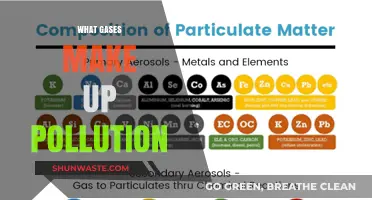 Understanding Pollution: Key Gases Explained