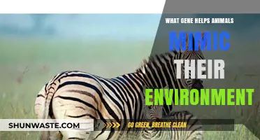 The Genetic Secret Behind Animals' Camouflage and Environmental Mimicry