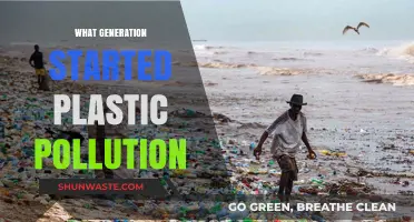 Plastic Pollution: Who Started This Crisis?