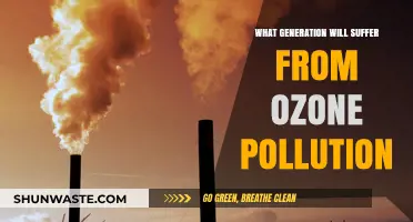 The Future of Ozone Pollution: Who Will Suffer?