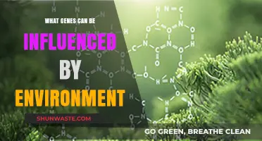 How Environmental Factors Shape Gene Expression: Unlocking Nature vs. Nurture