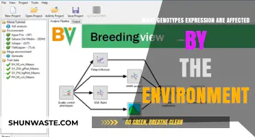 Environmental Influences on Genotype Expression: Unraveling Nature-Nurture Dynamics
