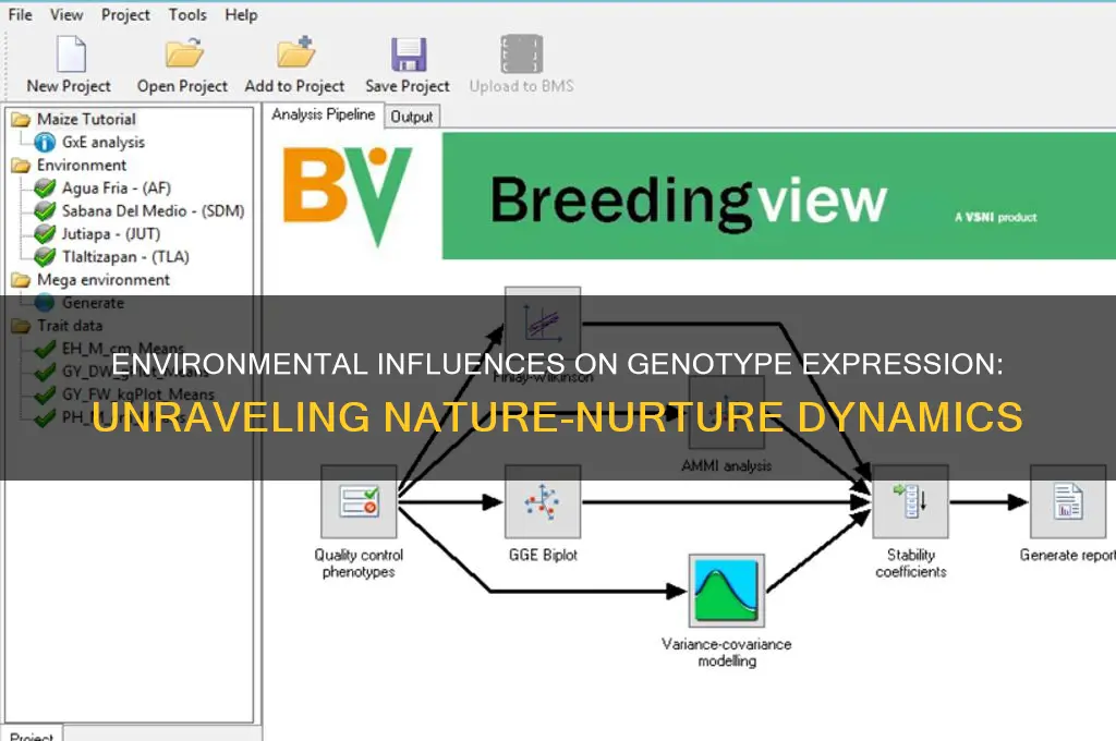 what genotypes expression are affected by the environment