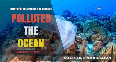 Human Impact: Ocean Pollution Through Geological Time