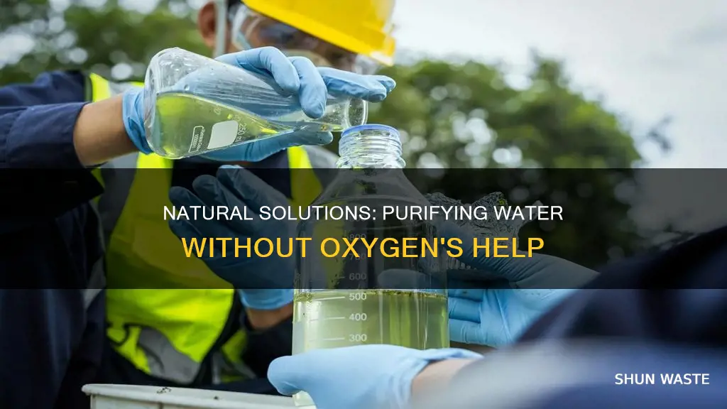 what get rid of polluted water oxygen not included